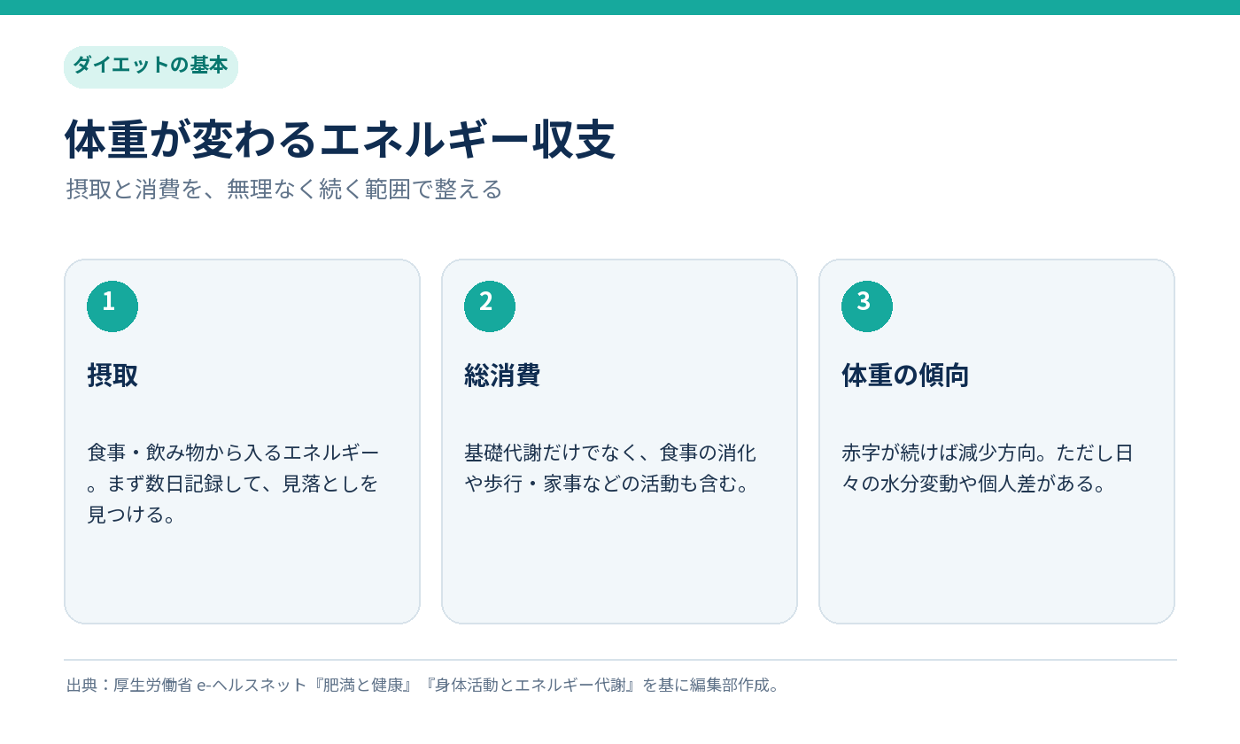 摂取エネルギー、基礎代謝や身体活動を含む総消費、体重変化の関係を示す図